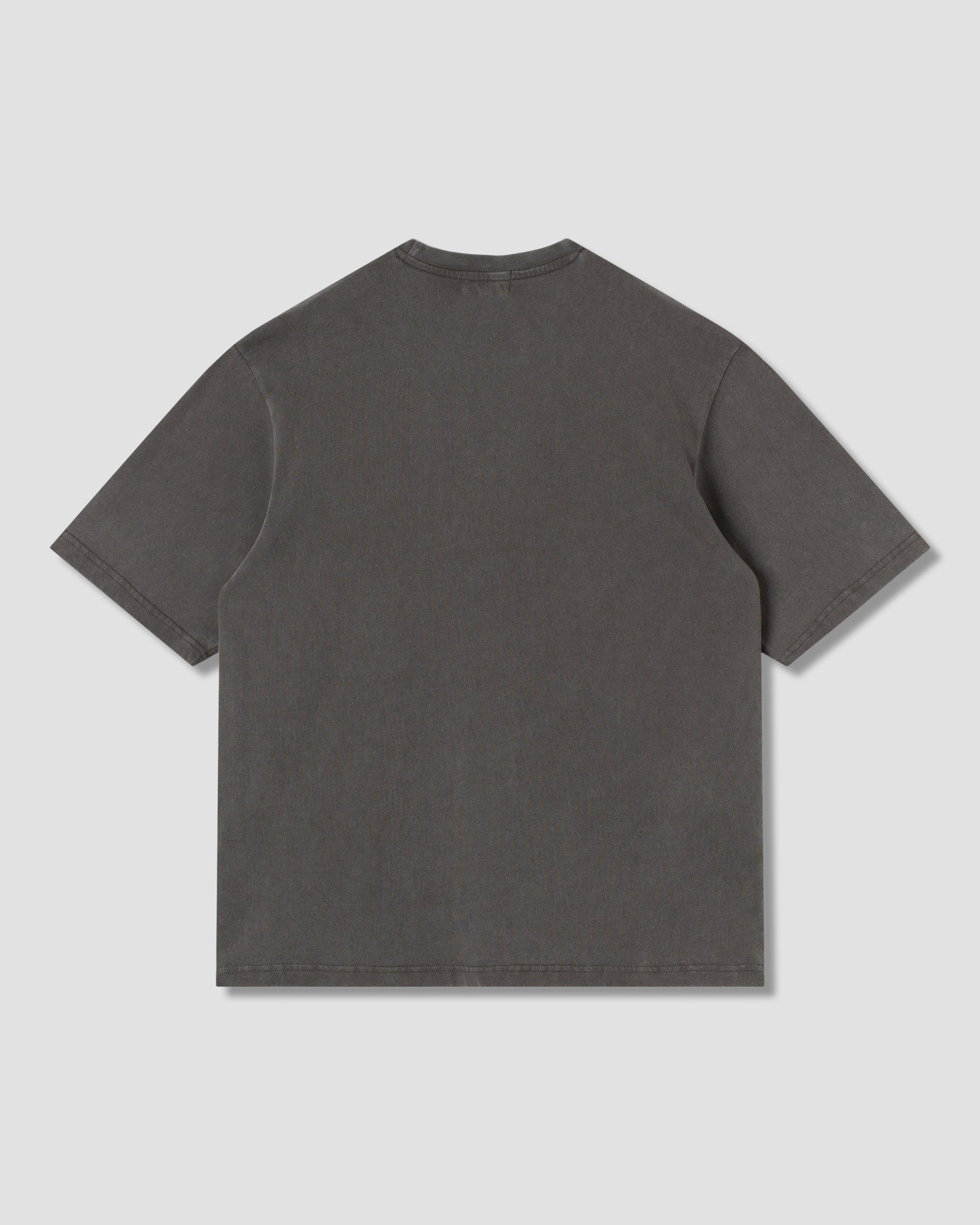 stan-ray-ray-vine-t-shirt-washed-black-baumwolle image 2