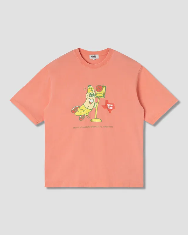 stan-ray-stan-dunk-t-shirt-washed-red-baumwolle image 1