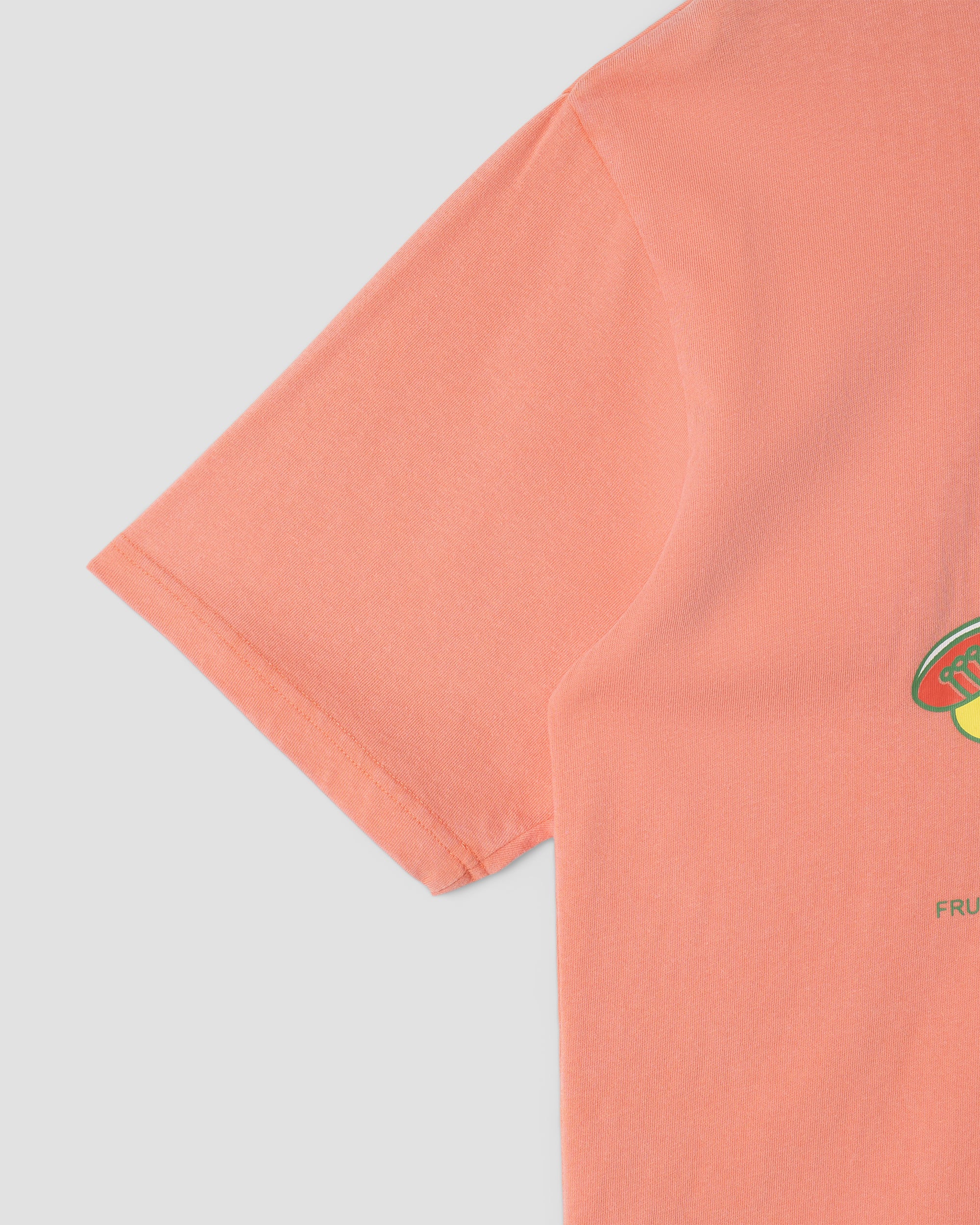 stan-ray-stan-dunk-t-shirt-washed-red-baumwolle image 3
