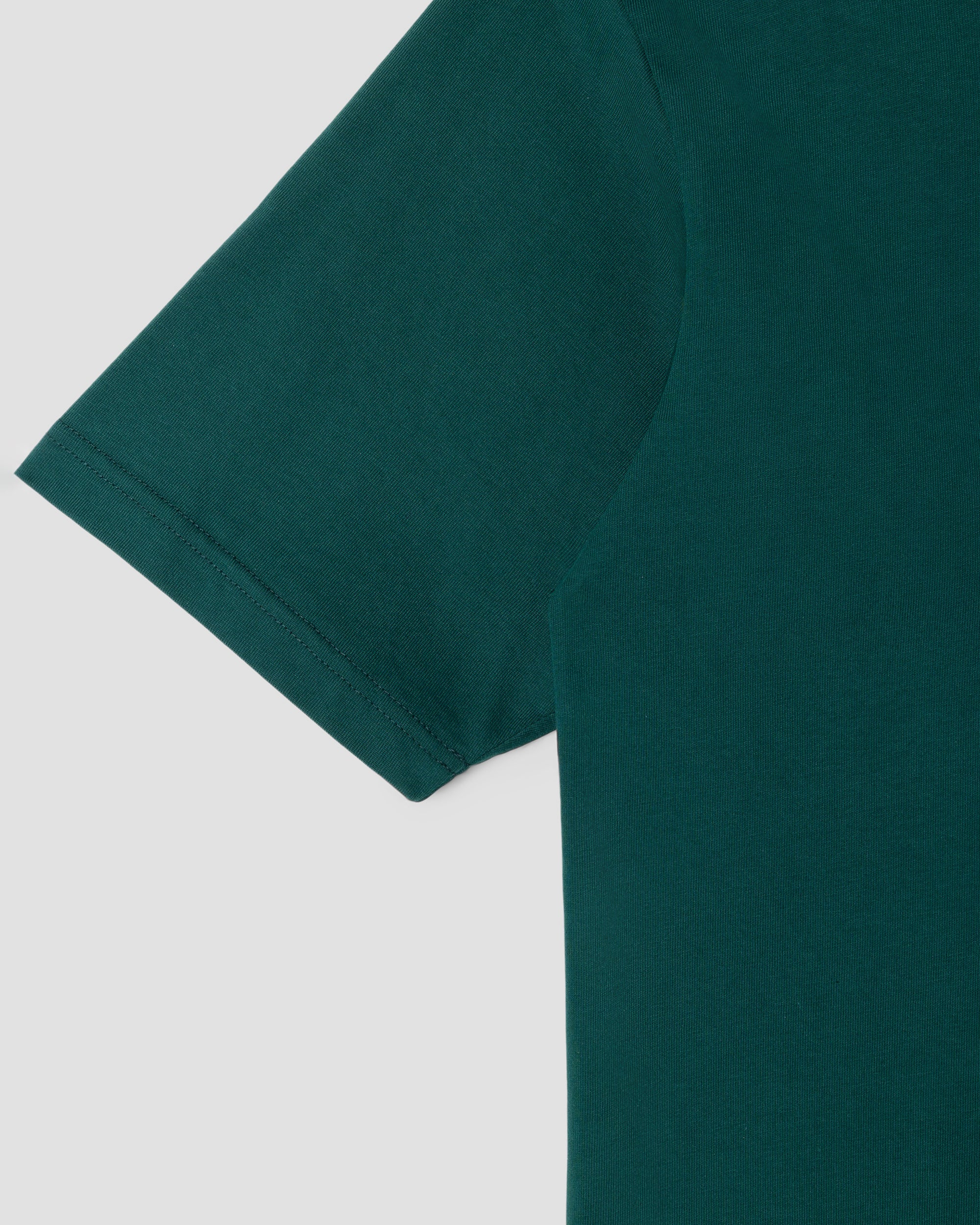 stan-ray-olde-script-t-shirt-botanical-green-220gsm image 4