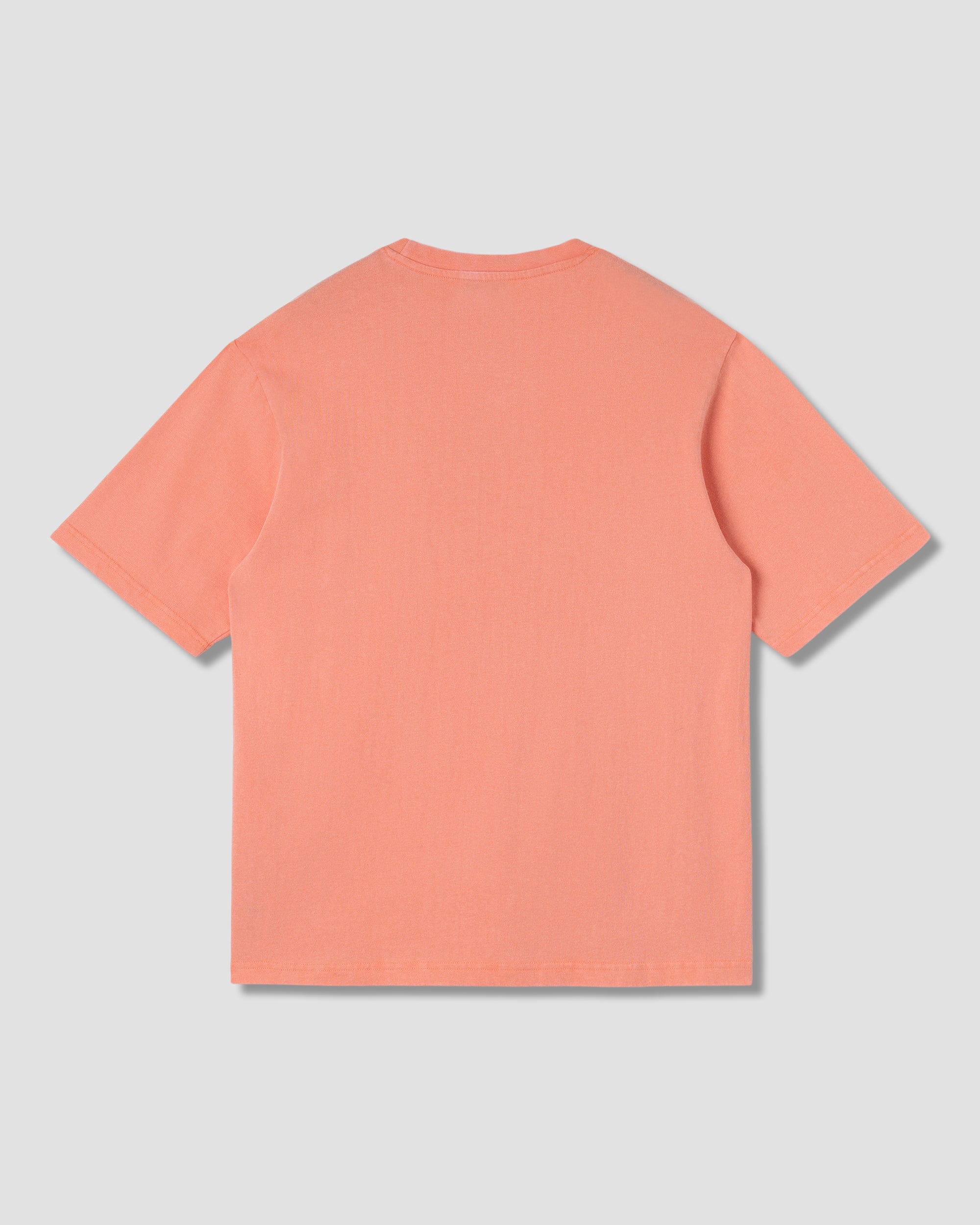 stan-ray-stan-dunk-t-shirt-washed-red-baumwolle image 2