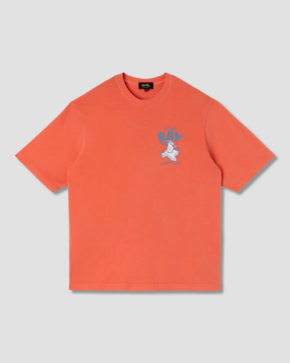 stan-ray-tees-polar-state-tee-t-shirt-washed-red-baumwolle image 1